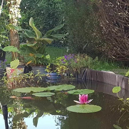 F3 Avec Salle De Jeux, Terrasse Et Grand Jardin *